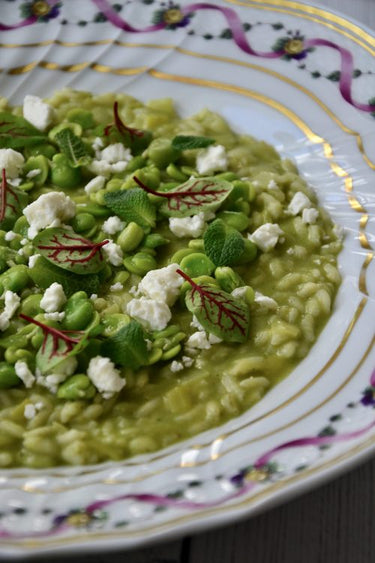 BROAD BEAN & GOATS CHEESE RISOTTO WITH MINT 